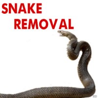 Snake Removal Ballarat, Emergency Response