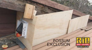 Possum Exclusion Box Out